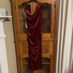 Elegant Velour One Shoulder Burgundy Dress